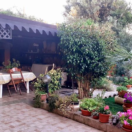 B&B Giomar Sardegna Nord Ovest Campanedda Exteriör bild