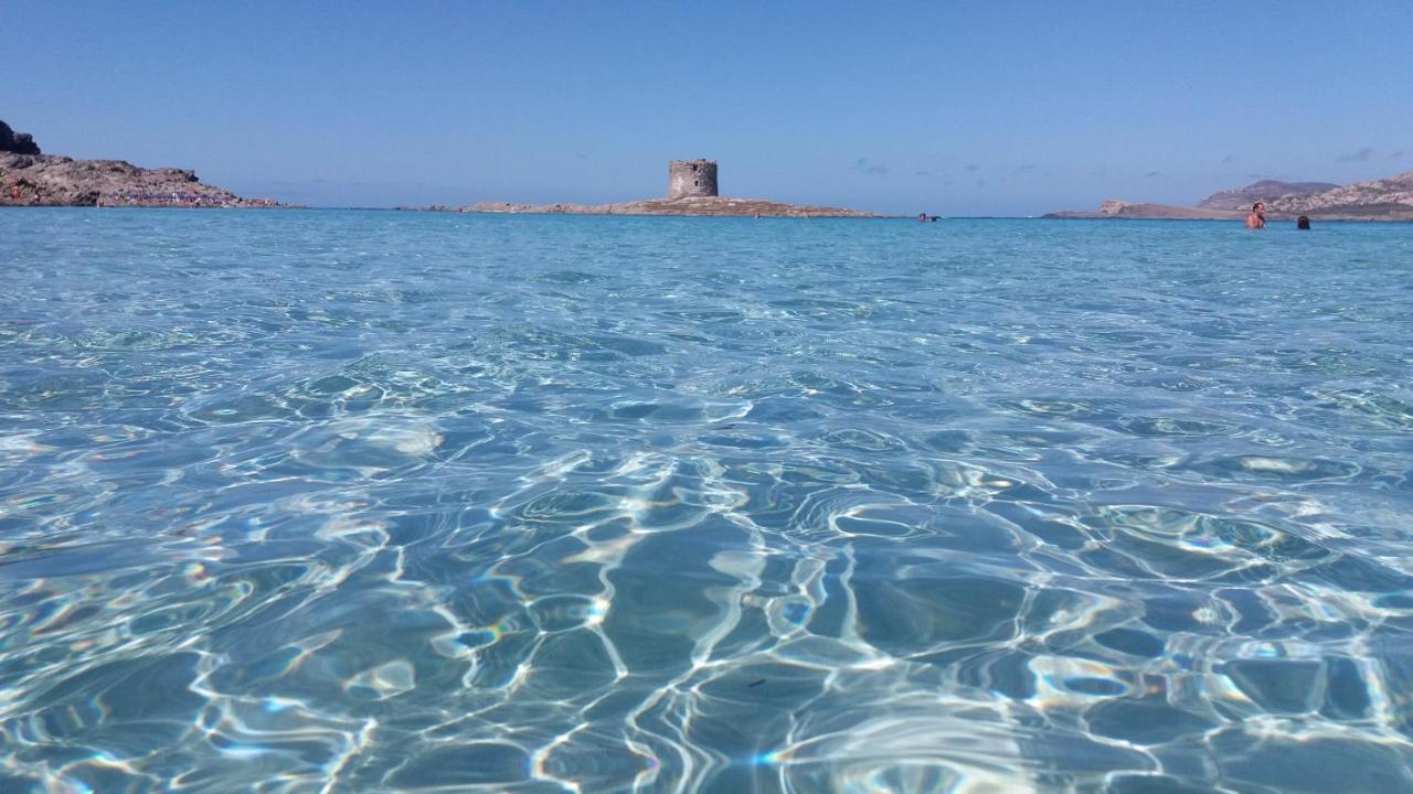 B&B Giomar Sardegna Nord Ovest Campanedda Exteriör bild