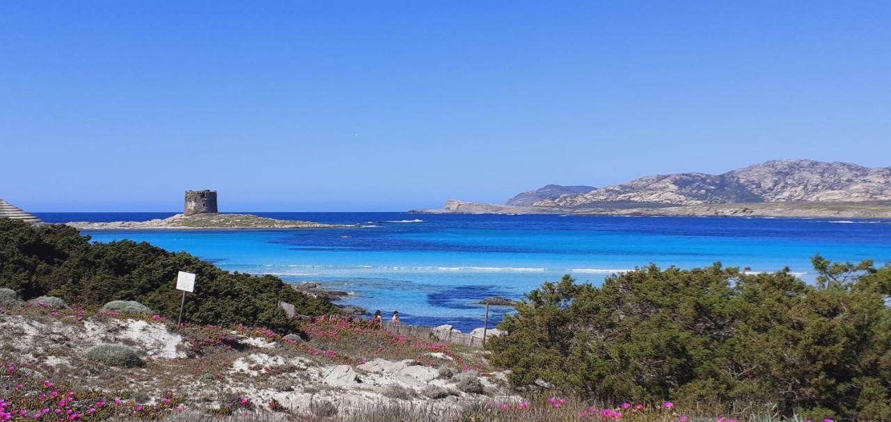 B&B Giomar Sardegna Nord Ovest Campanedda Exteriör bild
