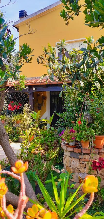 B&B Giomar Sardegna Nord Ovest Campanedda Exteriör bild