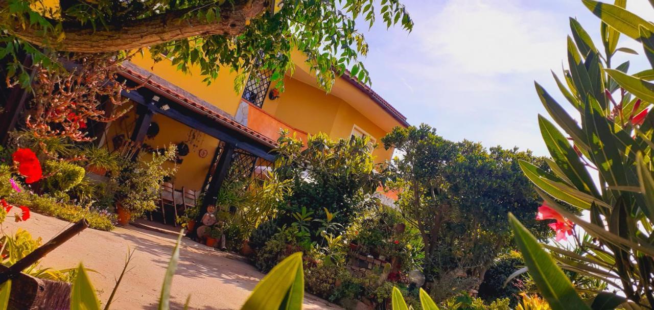 B&B Giomar Sardegna Nord Ovest Campanedda Exteriör bild